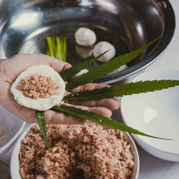 CBD in the Food and Beverage Industry