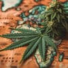 the Legal Landscape of CBD Legislation