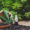 Antioxidant Effects of CBD on the Brain