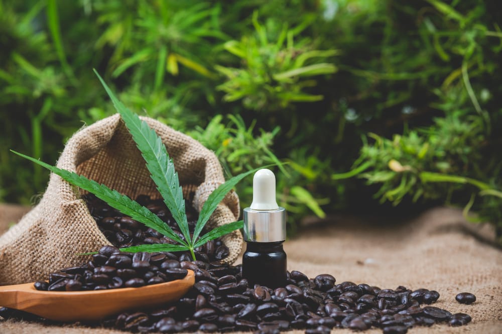 Antioxidant Effects of CBD on the Brain