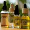 the 5 Must-Usage of CBD Oil