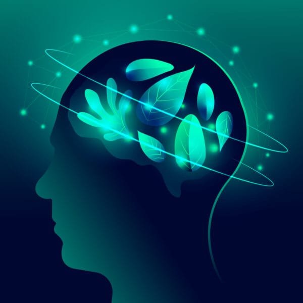 Neuroprotective Effects of CBD on the Brain