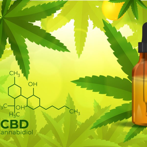 Connection Between CBD and Enzymes