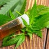 The Impact of CBD on Nausea and Vomiting