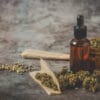 How CBD Works in Harmony with Other Cannabis Compounds