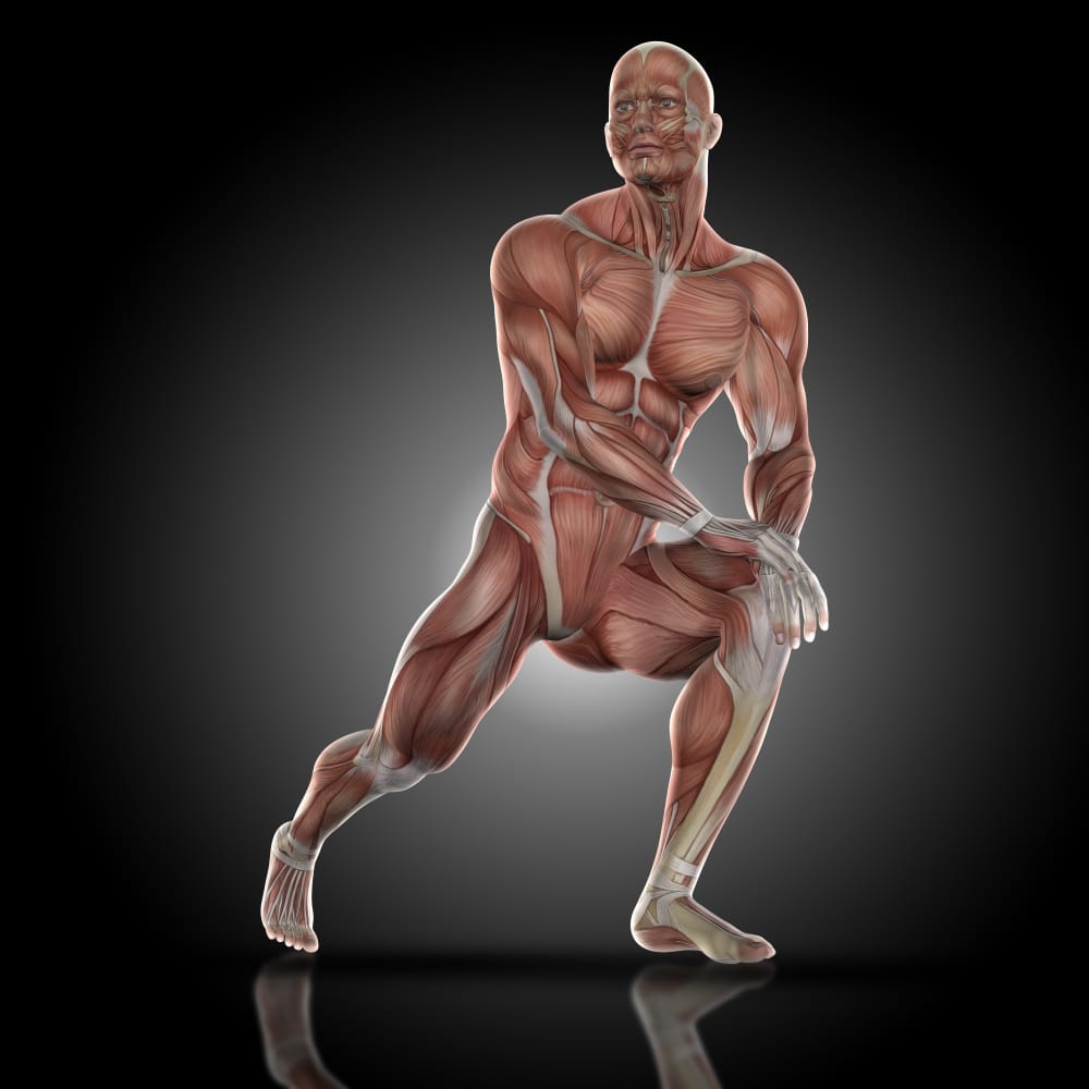 Physical Therapy in Muscle Pain