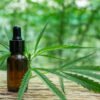 CBD Pain Roll On Tinctures: A Comprehensive Guide to Sublingual Use and FAQs